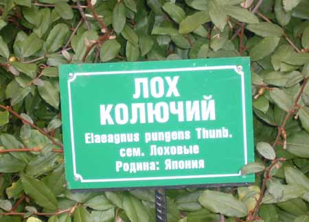 Это в Даго-мысе чтоль?