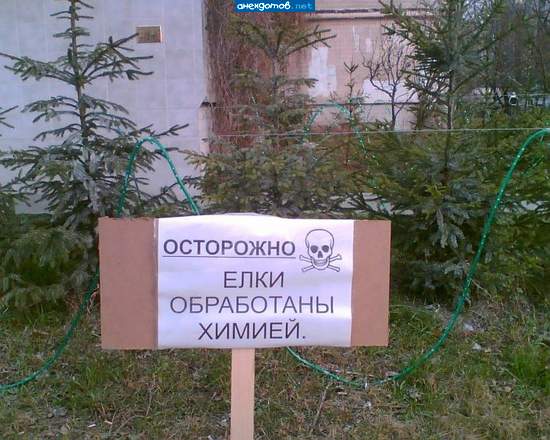 Хорошо хоть не физикой...