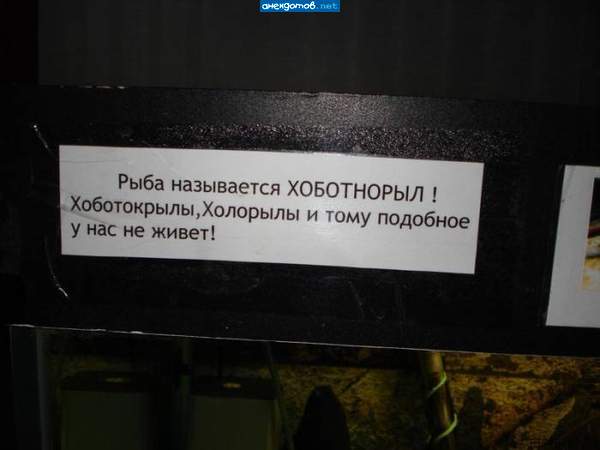 Уж очень условия суровые.