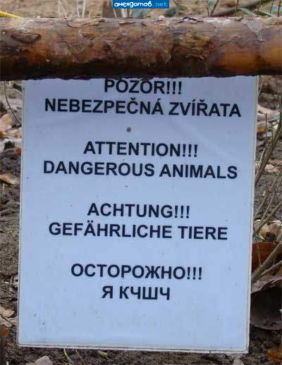позор небеспечным зверятам!(блин)