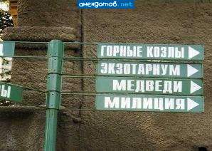 Пап, Пап, а кто это такие снизу? Это те же самые козлы, только ещо хуже..."