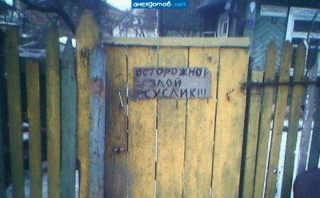 Это про хозяина