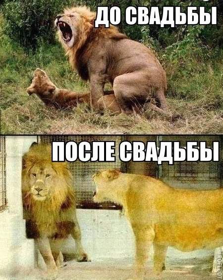Мораль, пилять, проста: не женитесь, господа! Трахайтесь так...