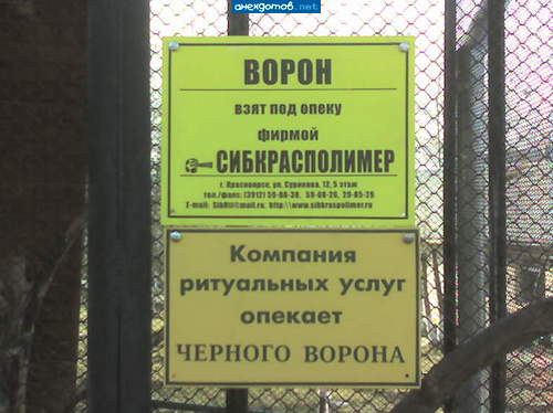 Во, а еще его Чапай сильно любил, он бы тоже его опекал, кабы не беляки...