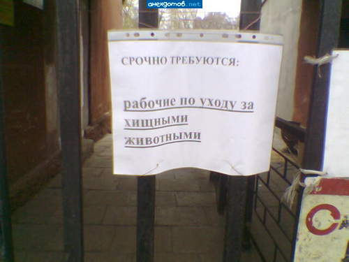 Вес не менее 120 кг.