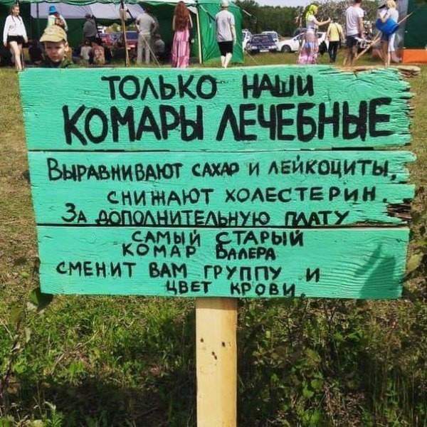 От комаров помирает ежегодно людей больше, чем от всех насекомых и зверей в сумме