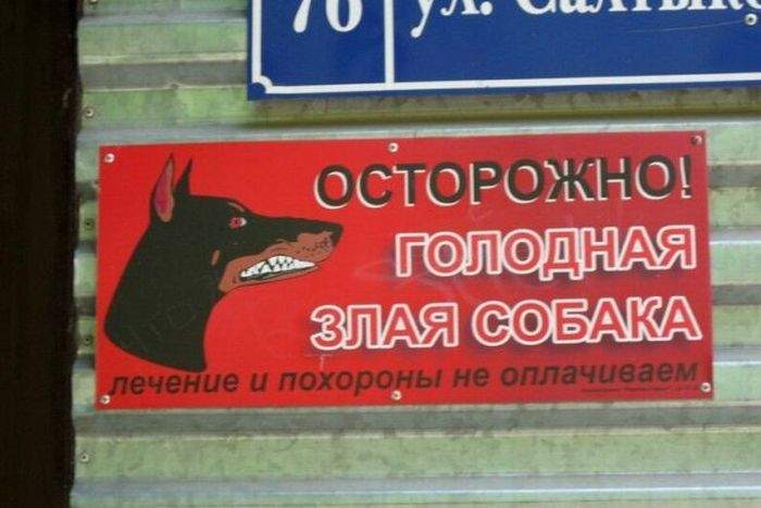 Да ладно! Собачку покормим, тогда и хозяевами займемся...