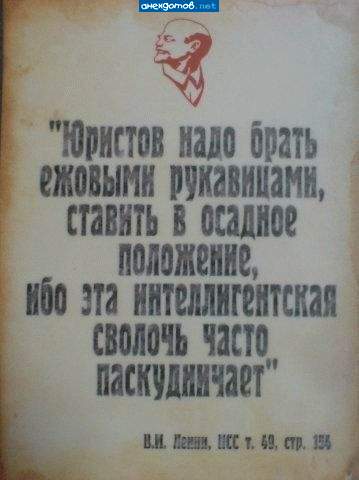 Мама — русская, папа — юрист