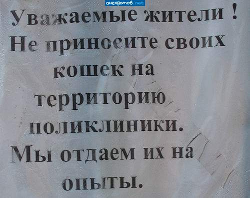 Живодёры. Они и слона загребут.