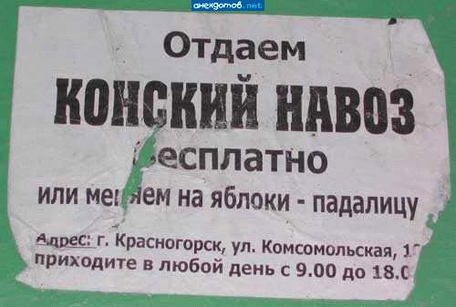 Соседний колхоз просит навоз. Дадим? Нет, сами съедим!