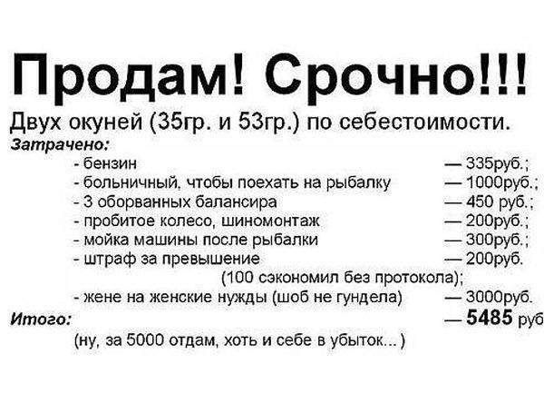 друг!!! я ОБМЕНЯЮ! на 2 свинушки, 1 груздь и подберёзовик...