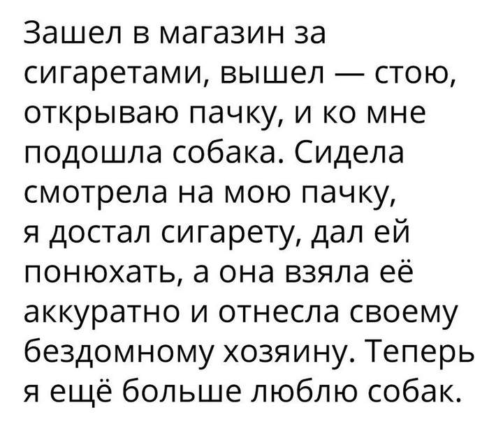 А собака мечтает, чтобы люди любили людей