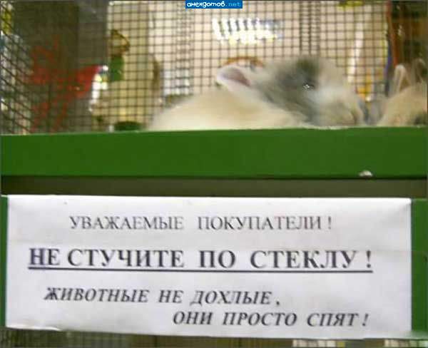 это в магазине на профсоюзной. у них там много приколов, типа "не стучите, они не откроют