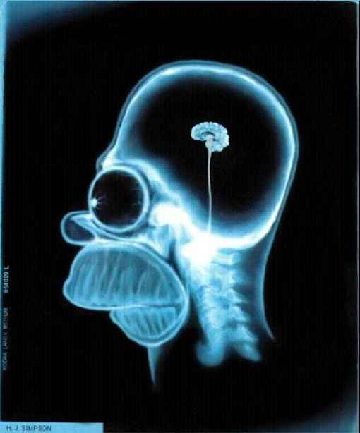 ���������� 2 | Funny pictures 2