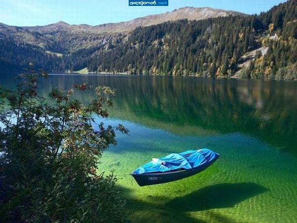 Рыба и водросли давно сдохли от гербицидов которые смыло с полей в озеро.