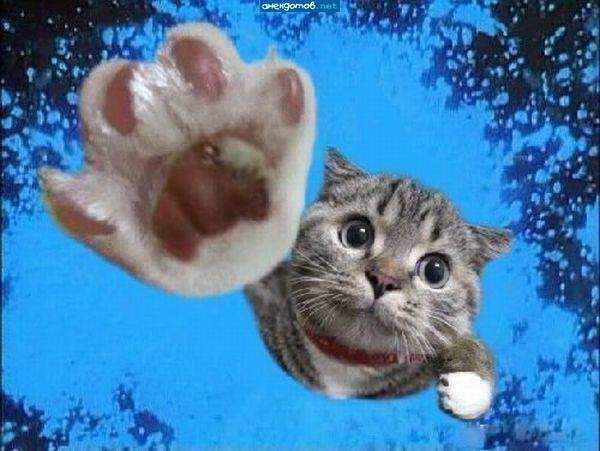SuperCat