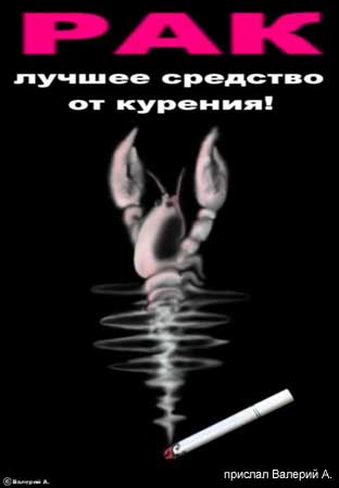 ну да, пиво с раками лучше