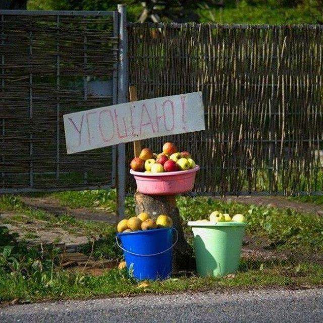 Доброго здоровья-хозяину фруктов