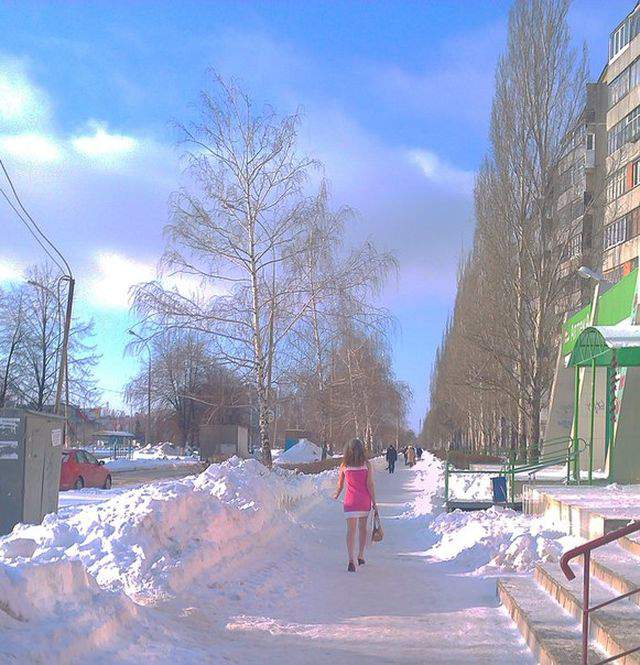 мини снега не боятся