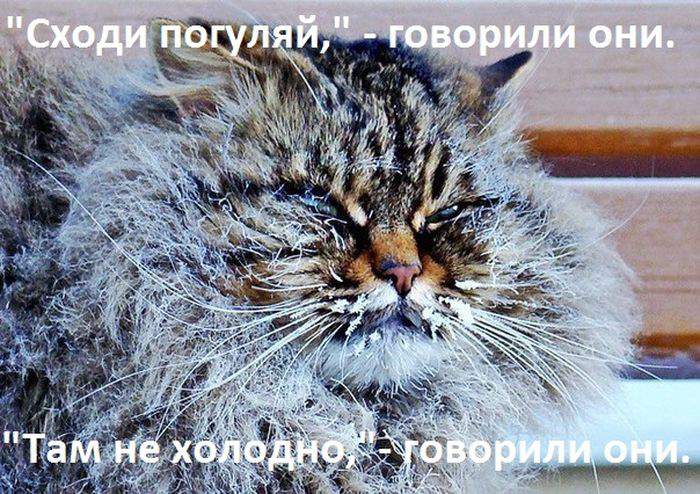 Он бдльше не Барсик, Теперь он СНЕЖНЫЙ БАРС!!!