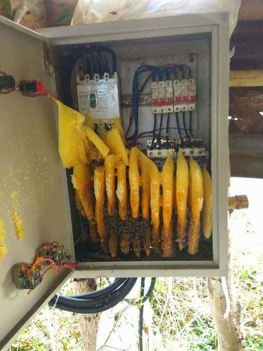Билайн. Начало