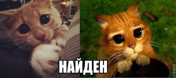 прототип найден!