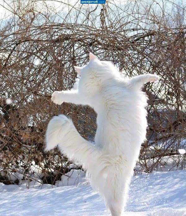 Ура! Весна!