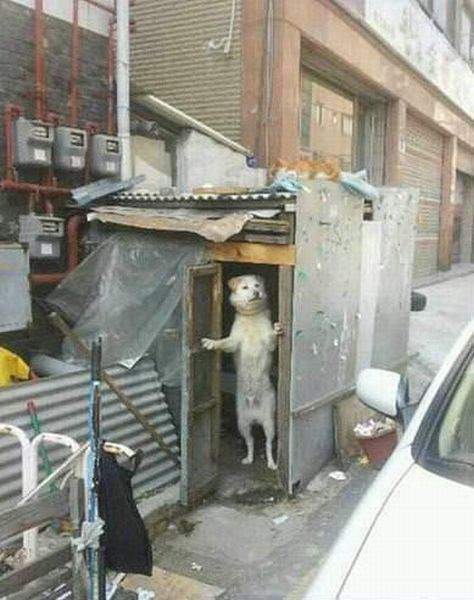 Я могу чем-то помочь вам, сэр?
