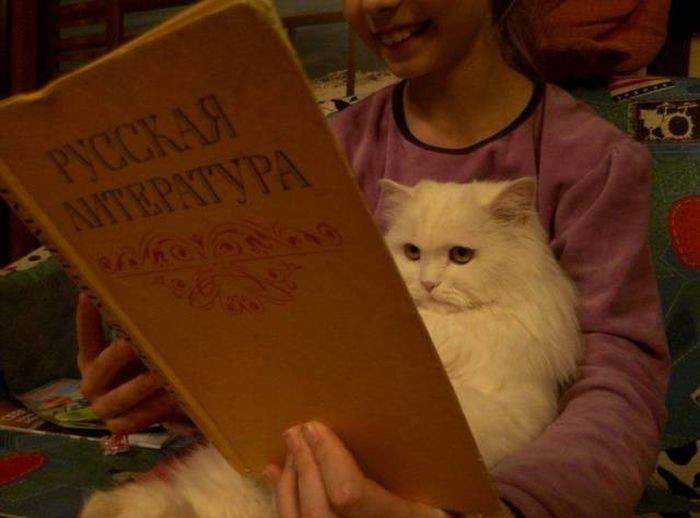 У кота трагичный вид,видно момент,когда Карениа под поезд бросается.