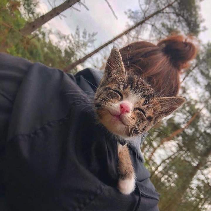 Спасибо вам, добрые люди, за мое счастливое детство!