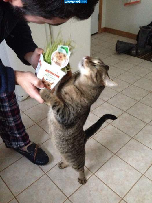 Как, и это все мне?...