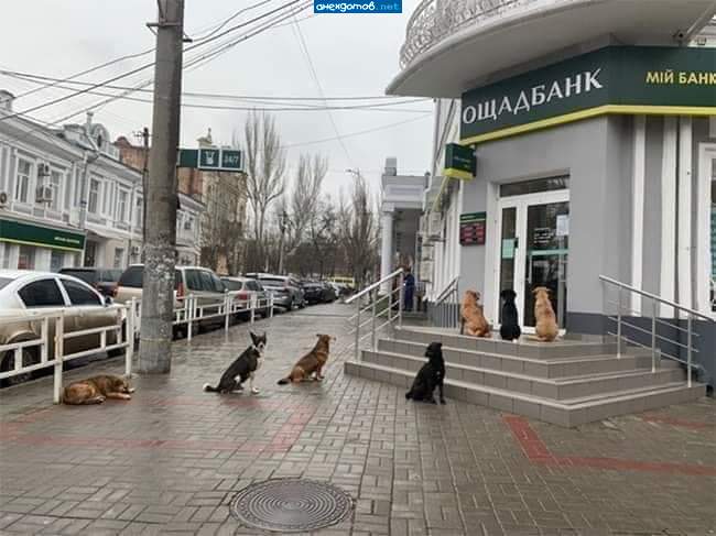 знатная с@чка в этом банке работает