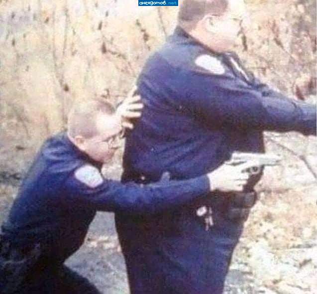 под прикрытием
