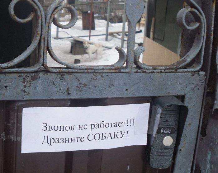 Да, забыл написать...особенно хорошо собака дразнится голой задницей...