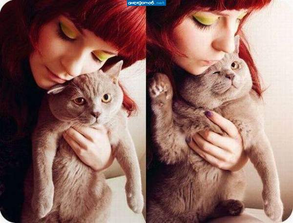 котэ не надо тискать, котэ надо гладить