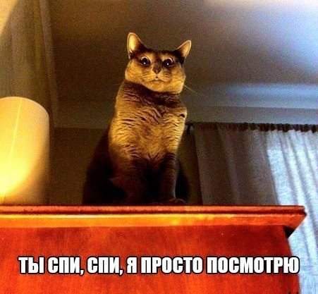 Ночной дозор