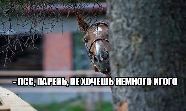 Менты ушли?