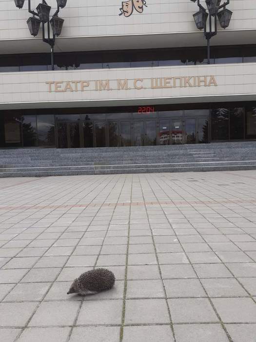 А где туман и лошадка?