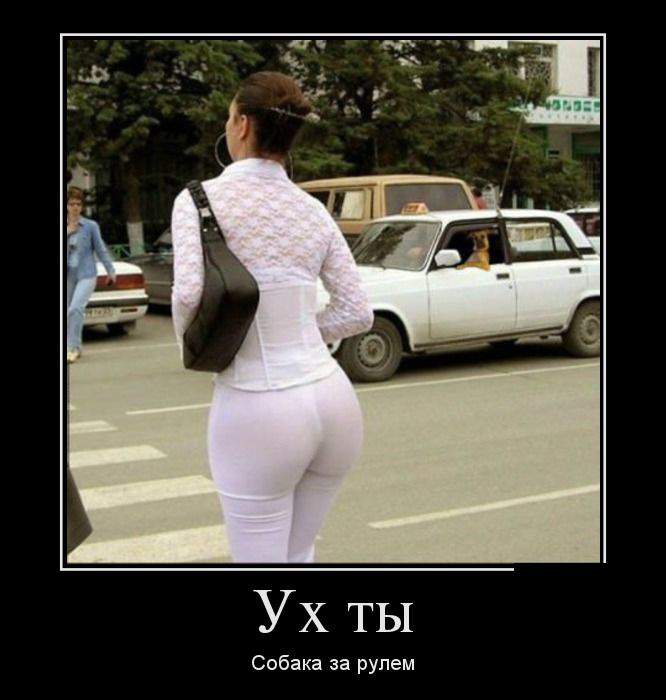 И как теперь жене объяснять что фоткал-то собаку?