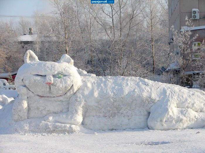 чеширский кот