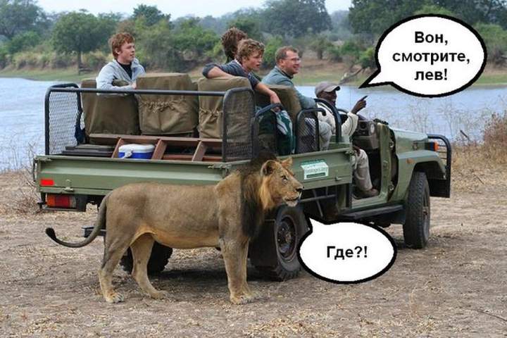 Может стоит сказать им что я здесь?