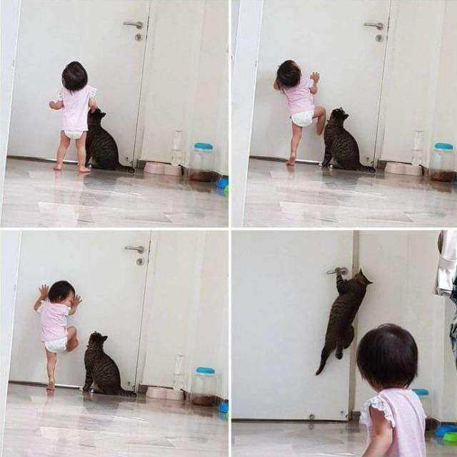 — Смотри как надо!