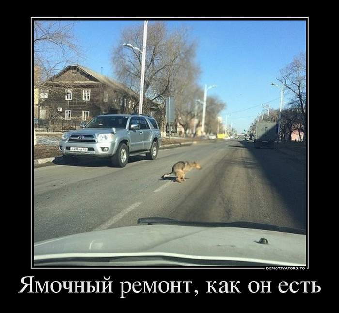 Лучше не скажешь
