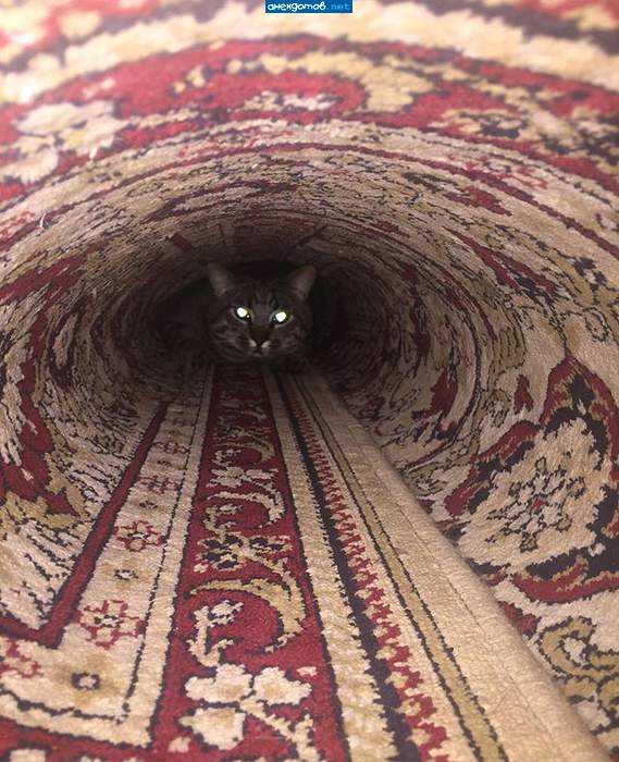 Это встречный