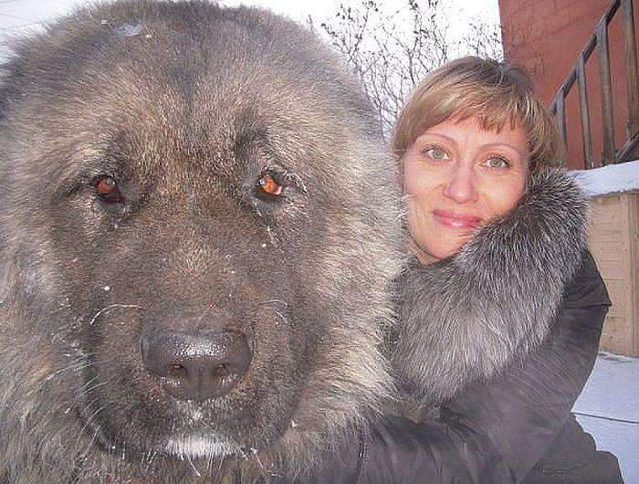 Год назад купила хомячка....