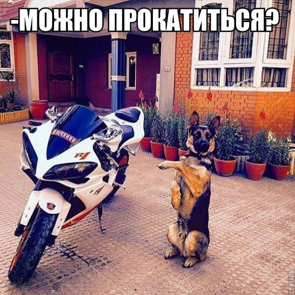 Это мне за выслугу лет подарили