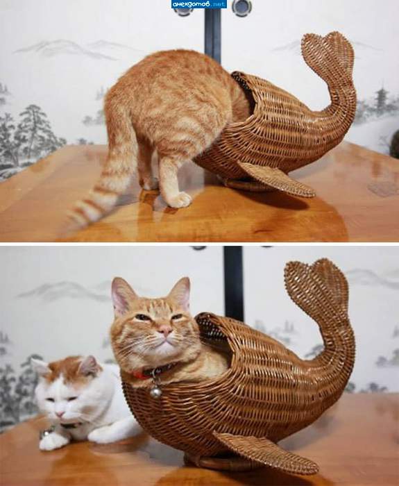 Кусалочка