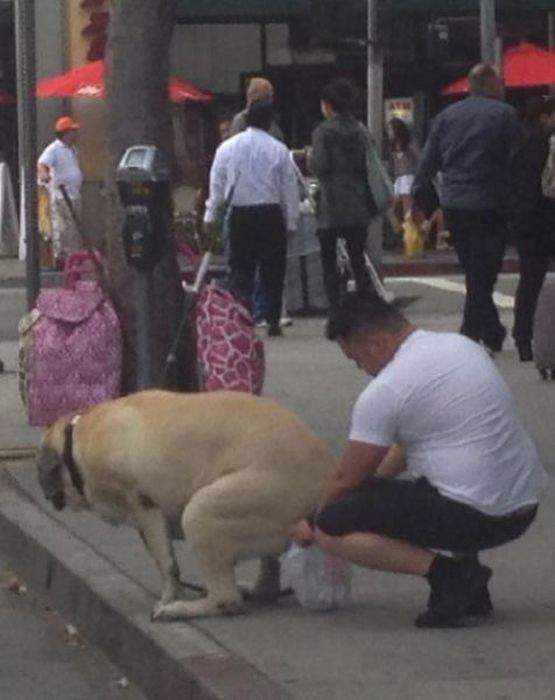 Тут подсак нужон