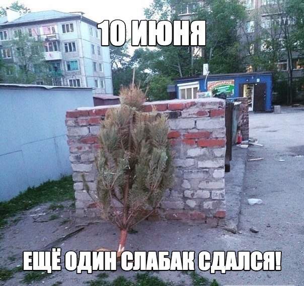 Можно было уже и оставить...