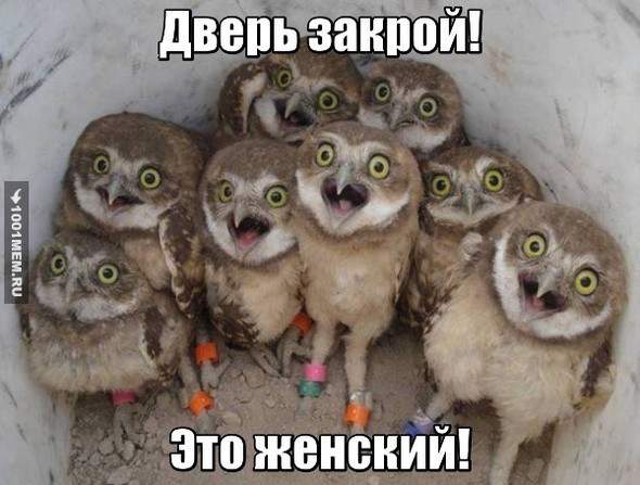 Это антисемитизм!!!